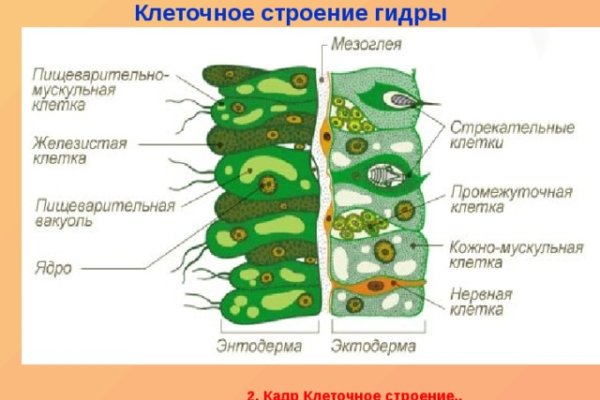 Кракен ссылка vtor